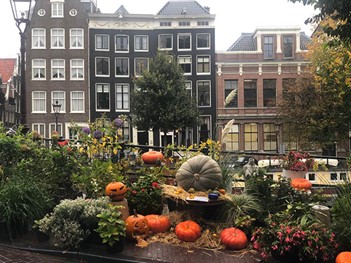 Pompoenen voor Halloween in Amsterdam