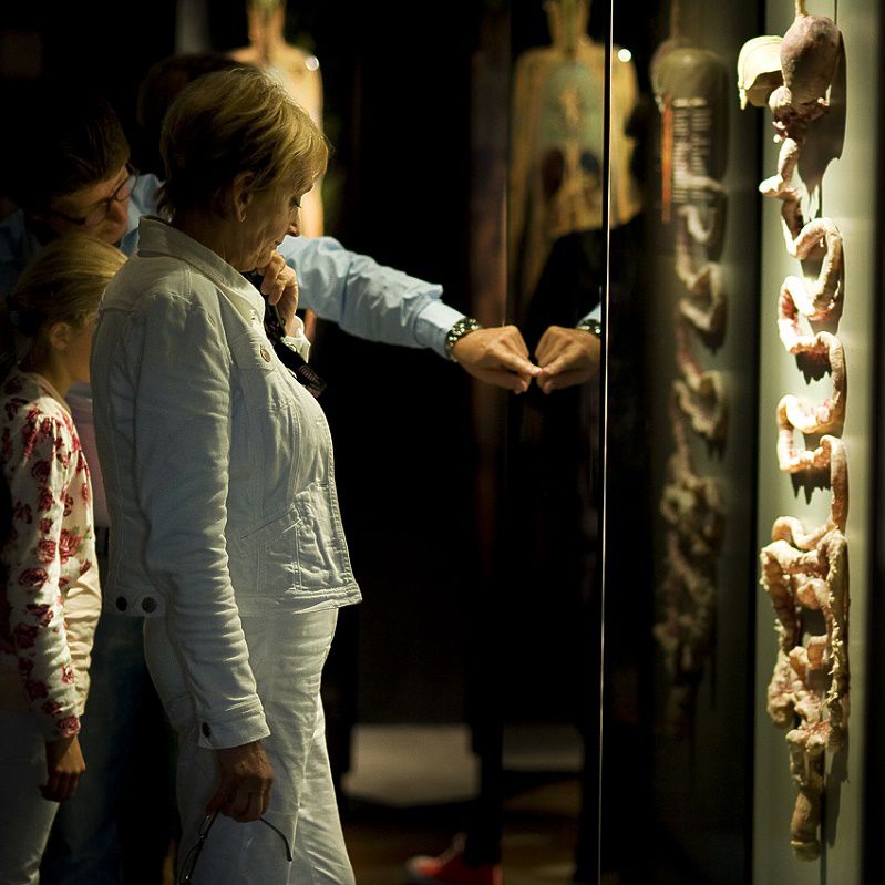 Combi Body Worlds