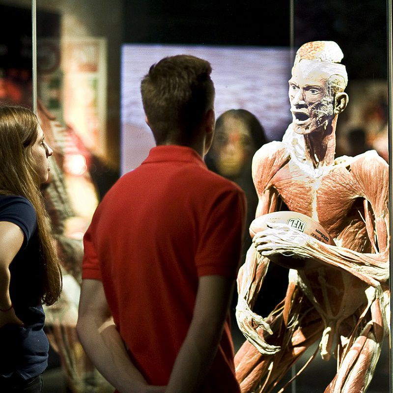 Combi Body Worlds