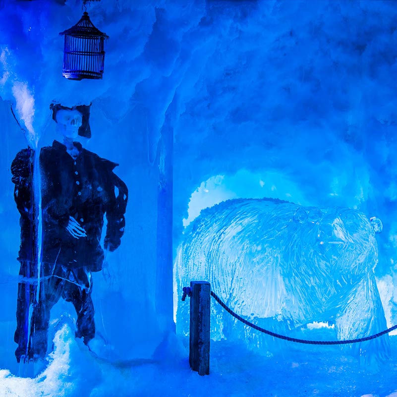 amsterdam canal cruise and ice bar