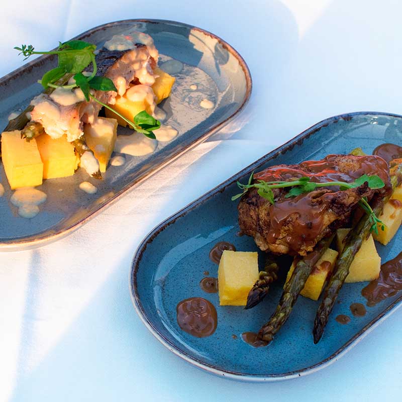 Salmon And Guinea Fowl
